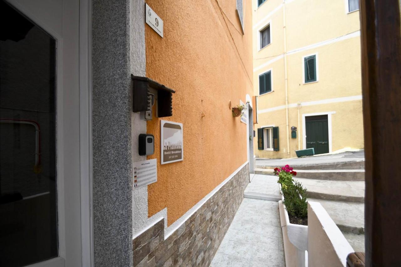 B&B La Pianedda Castelsardo Bagian luar foto