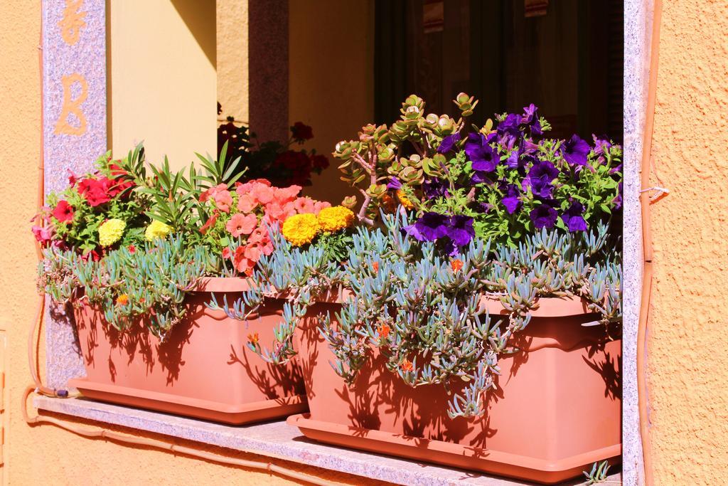 B&B La Pianedda Castelsardo Bagian luar foto